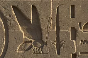 Images Dated 25th November 2003: Egyptian Art. Relief depicting a bee and a rush symbols of L