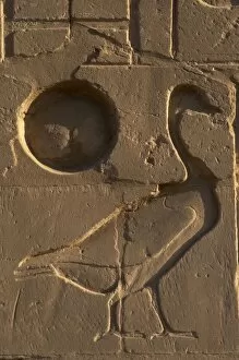 Egyptian Art. Relief depicting a goose next to the sun. Karn