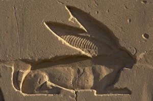 Images Dated 25th November 2003: Egyptian Art. Relief depicting a hare, the sacred animal of