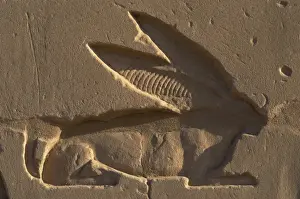 Frieze Prints: Egyptian Art. Relief depicting a hare, the sacred animal of
