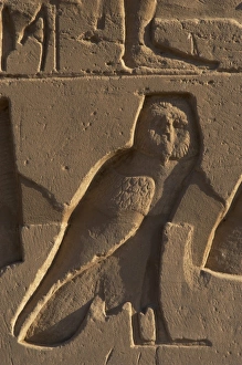 Images Dated 25th November 2003: Egyptian Art. Relief depicting an owl. Karnak