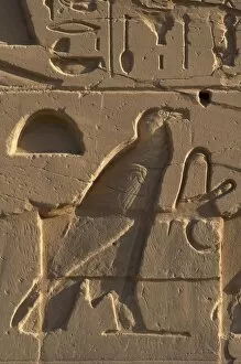 Images Dated 25th November 2003: Egyptian Art. Relief depicting a vulture. Karnak