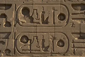 Egyptian Art. Royal protocol of Ramesses II. Cartridge