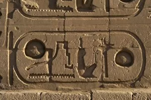 Ankh Collection: Egyptian Art. Royal protocol of Ramesses II. Cartridge