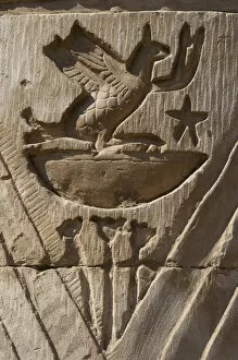 Images Dated 2nd December 2003: Egyptian Art. Temple of Kom Ombo. Bird. Relief