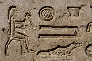 Crocodile Prints: Egyptian Art. Temple of Kom Ombo. Hieroglyphic symbols and c