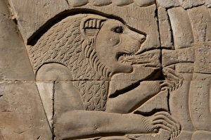 Images Dated 2nd December 2003: Egyptian Art. Temple of Kom Ombo. Lion eating a hand, Relief