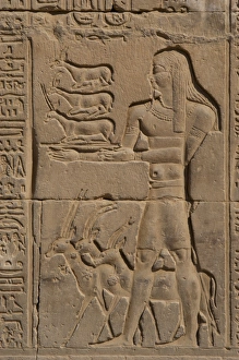 Images Dated 2nd December 2003: Egyptian Art. Temple of Kom Ombo. Offerer. Relief