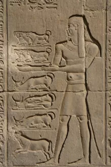 Images Dated 2nd December 2003: Egyptian Art. Temple of Kom Ombo. Offerer. Relief