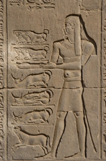 Images Dated 2nd December 2003: Egyptian Art. Temple of Kom Ombo. Offerer. Relief