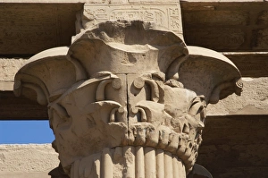 Images Dated 2nd December 2003: Egyptian Art. Temple of Kom Ombo. Papyrus column. Capital