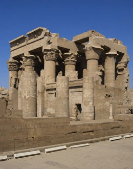 Images Dated 2nd December 2003: Egyptian Art. Temple of Kom Ombo. Papyrus columns