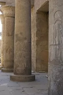 Images Dated 2nd December 2003: Egyptian Art. Temple of Kom Ombo. Papyrus columns