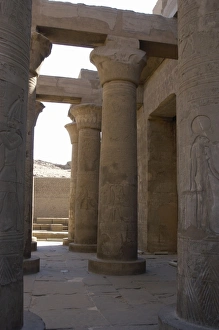 Images Dated 2nd December 2003: Egyptian Art. Temple of Kom Ombo. Papyrus columns