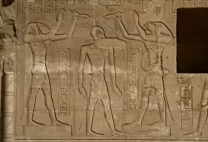 Purification Collection: Egyptian Art. Temple of Kom Ombo. Toth and Horus give sacred