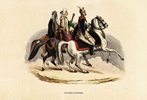 Egyptian cavalry, 19th century