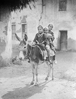 Egyptian Donkey Ride
