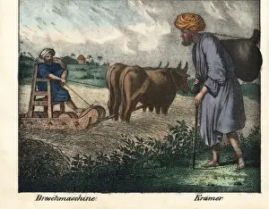 Egyptian farmer on a threshing machine pulled by two oxen