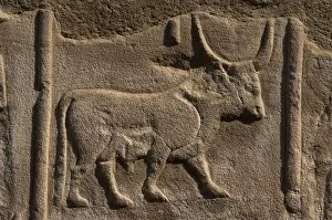 Images Dated 26th November 2003: Egyptian hieroglyph shaped like a bull
