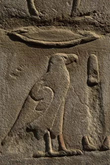 Writting Gallery: Egyptian hieroglyph shaped like an eagle