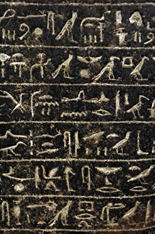 Amenhotep Gallery: Egyptian hieroglyphs. Block-statue of Amenhotep. 18th Dynast