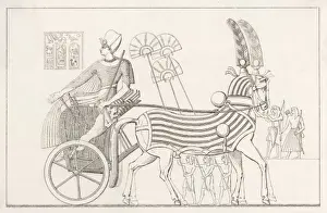 Egyptian King in Chariot