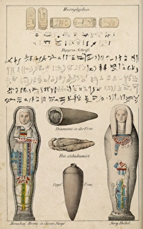 Egyptian Mummies