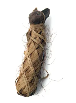 Egyptian mummified cat
