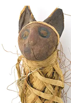 Egyptian mummified cat