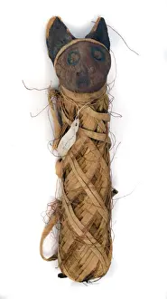 Egyptian mummified cat
