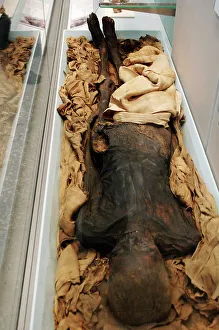 Egyptian mummy