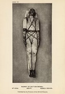 Mummies Collection: Egyptian Mummy in British Museum, London - Adult man