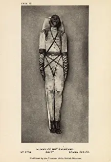 Bandages Prints: Egyptian Mummy in British Museum, London - Adult man