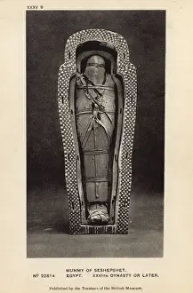 Egyptian Mummy in British Museum, London - Seshepenmehyt