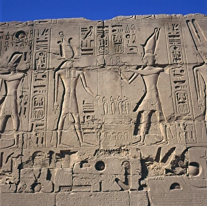Amun Gallery: Egyptian Relief
