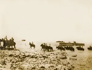 Egyptian Remount Depot WWI