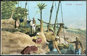 Egyptian SHADOOF at Cairo, raising water from the Nile to