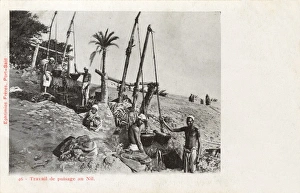 Images Dated 24th April 2012: Egyptian Shadoof - Irrigation system on the River Nile