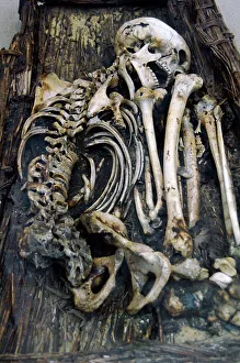 3000 Prints: Egyptian skeleton