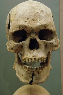 Teeth Prints: Egyptian skull