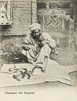Cobra Prints: Egyptian snake charmer