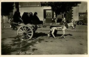Spoked Prints: Egyptian Women travelling on a donkey cart - Cairo