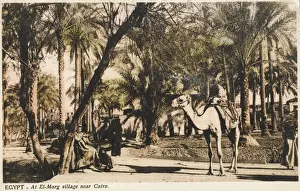 El-Marg village close to Cairo, Egypt