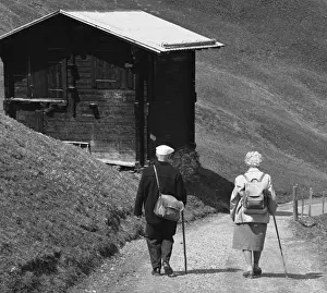Elderly couple on a country walk