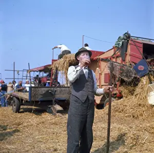 Harvester Prints: Elderly farmhand at harvest time