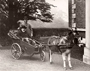 Elderly man in a three wheeled donkey cart and servant