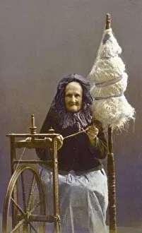 Thread Gallery: Elderly Swiss Spinner