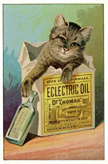 Adverts Gallery: Electric Oil Remedy / 1890