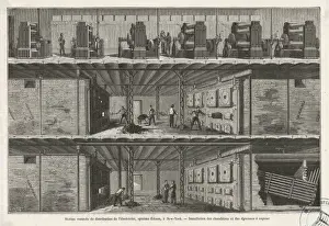 Electricity Supply / 1884