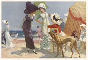 Elegance on the Beach